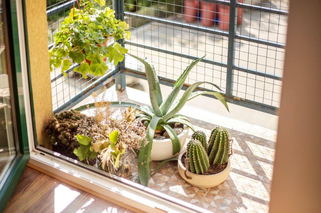#Stayhere - Spacious & Bright 1Bdr Apartment Shopping District 维尔纽斯 外观 照片